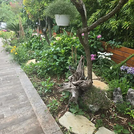 Flora דירה